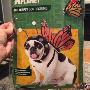 Animal planet DOG costume-  Butterfly.                 Size: small. New in bag